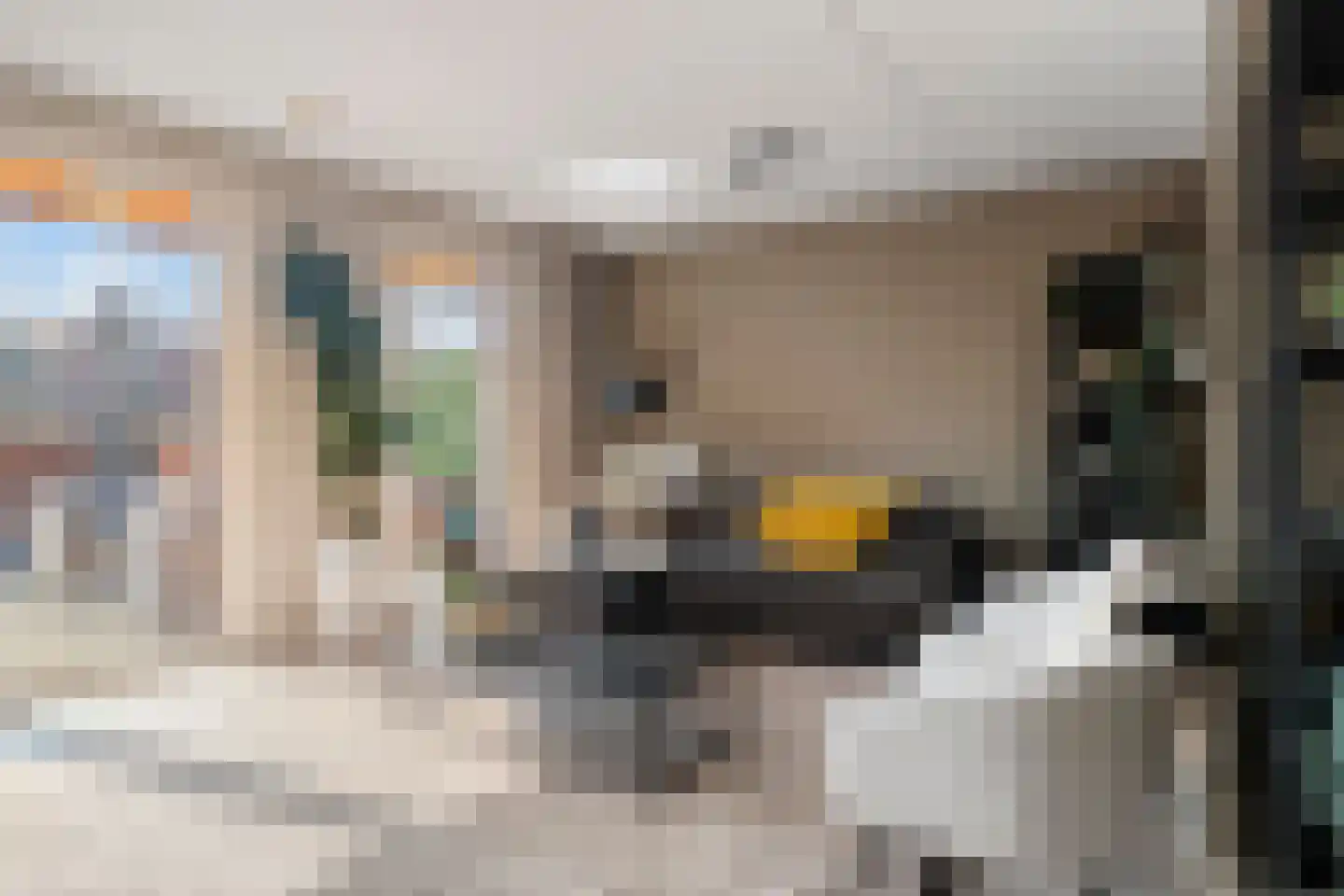 Lavendellaan 22 Eindhoven thumbnail 4