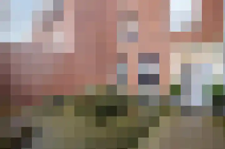 Lavendellaan 22 Eindhoven thumbnail 7