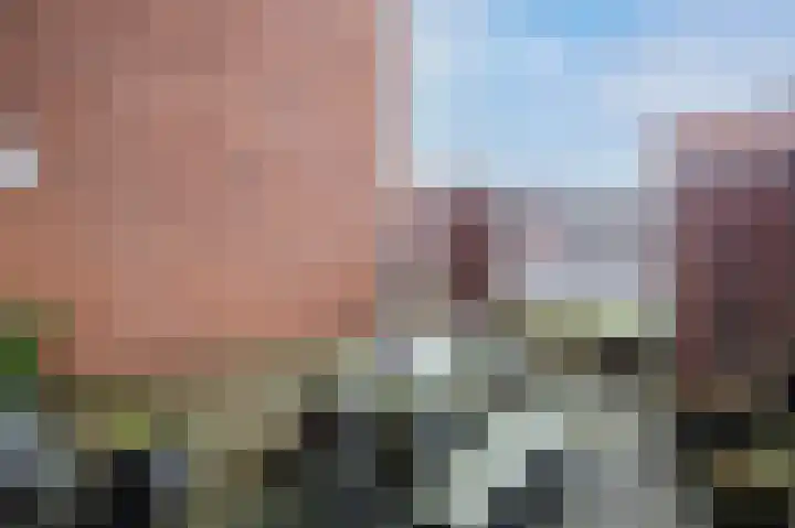 Lavendellaan 22 Eindhoven thumbnail 8