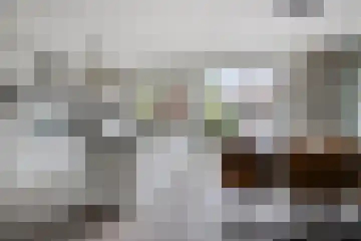 Lavendellaan 68 Eindhoven thumbnail 12