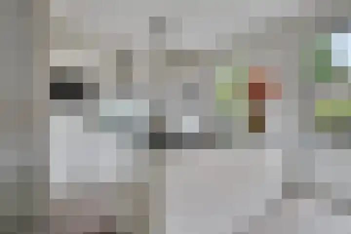 Lavendellaan 68 Eindhoven thumbnail 13