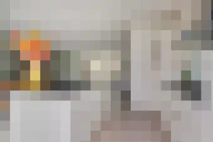 Lavendellaan 68 Eindhoven thumbnail 15