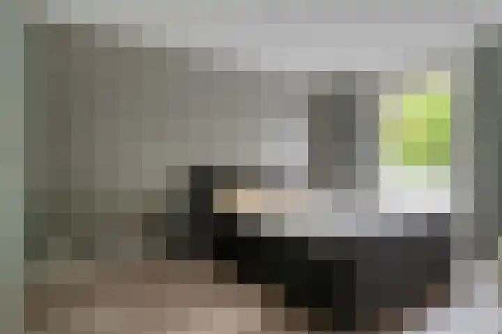 Lavendellaan 68 Eindhoven thumbnail 19