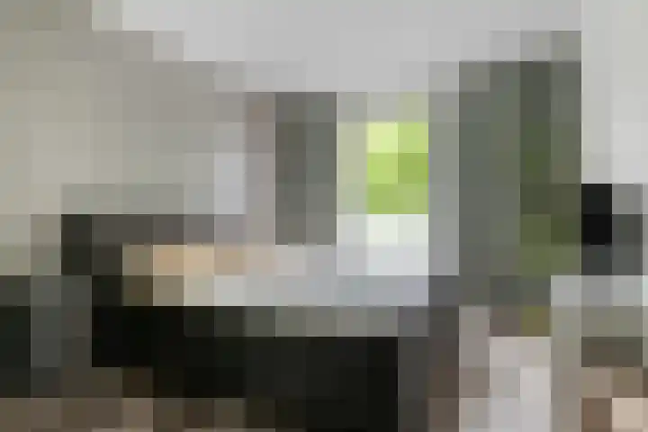 Lavendellaan 68 Eindhoven thumbnail 20
