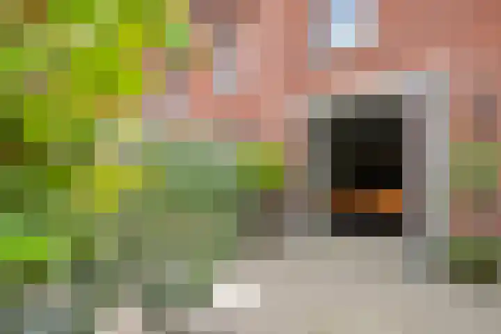 Lavendellaan 68 Eindhoven thumbnail 34