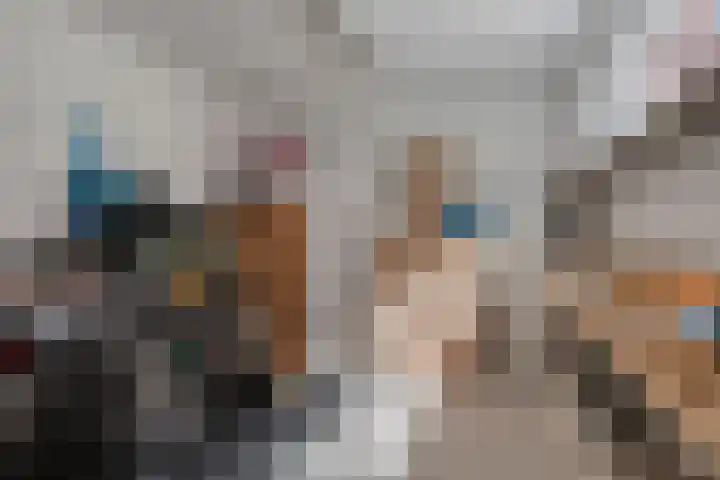 Lavendellaan 68 Eindhoven thumbnail 37