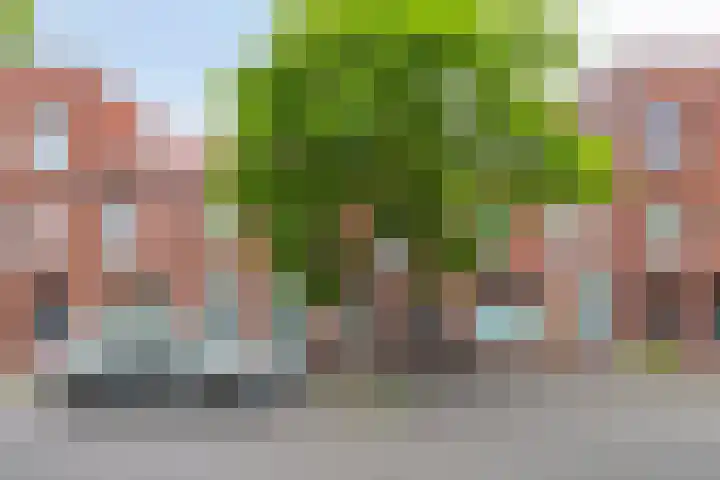Lavendellaan 68 Eindhoven thumbnail 39