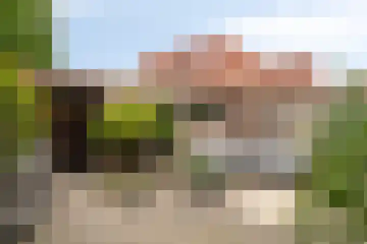Lavendellaan 68 Eindhoven thumbnail 4