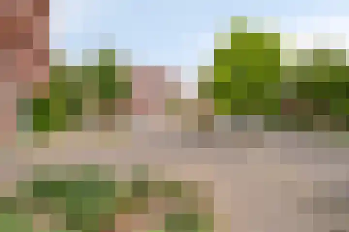 Lavendellaan 68 Eindhoven thumbnail 42