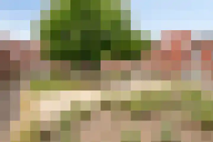 Lavendellaan 68 Eindhoven thumbnail 43