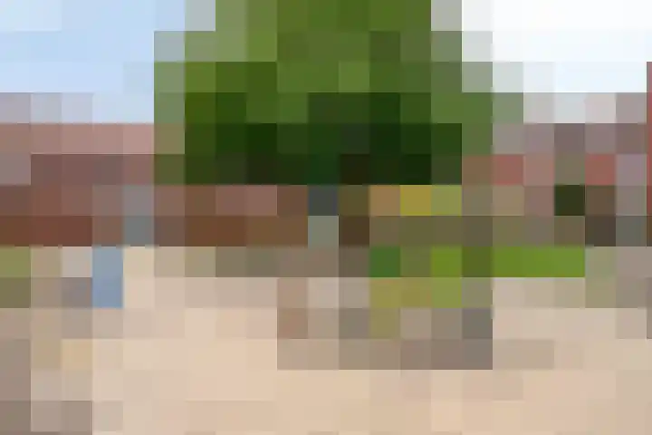 Lavendellaan 68 Eindhoven thumbnail 44
