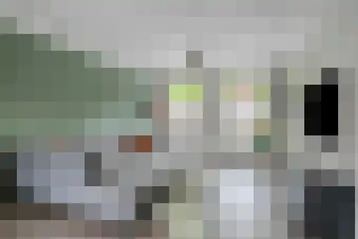 Lavendellaan 68 Eindhoven thumbnail 7