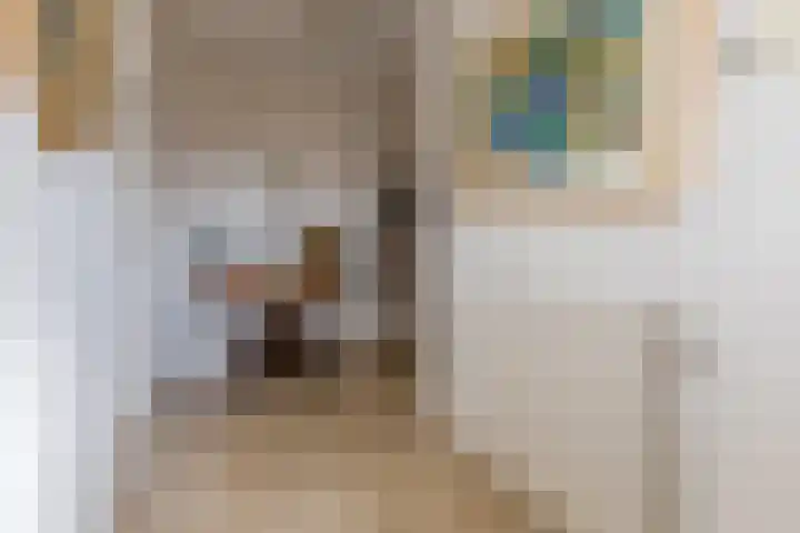 Lavendellaar 28 Veghel thumbnail 11
