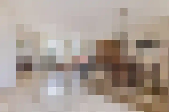 Lavendellaar 28 Veghel thumbnail 13