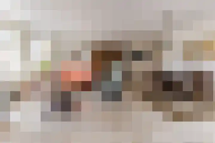 Lavendellaar 28 Veghel thumbnail 15