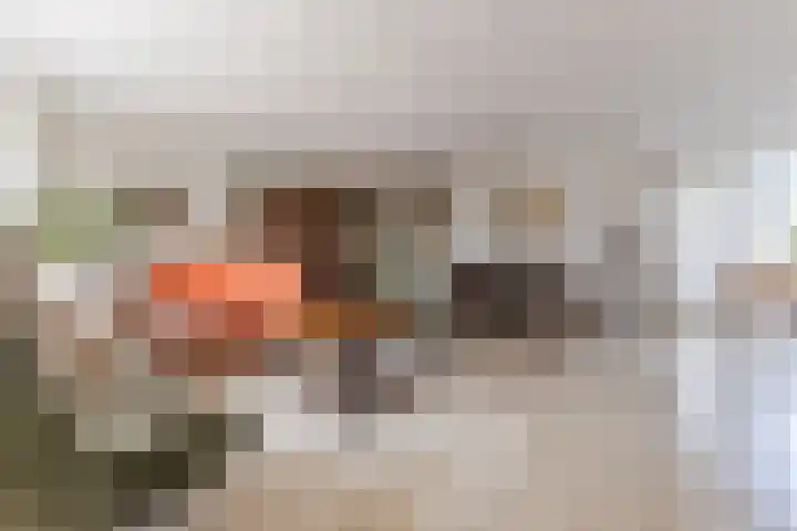 Lavendellaar 28 Veghel thumbnail 16