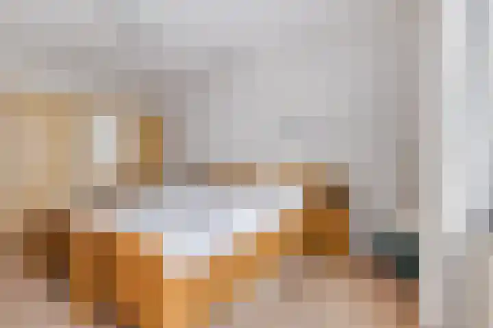 Lavendellaar 28 Veghel thumbnail 28