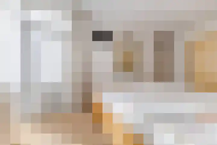 Lavendellaar 28 Veghel thumbnail 29