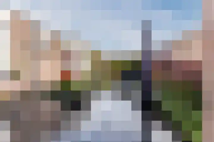 Lavendellaar 28 Veghel thumbnail 38