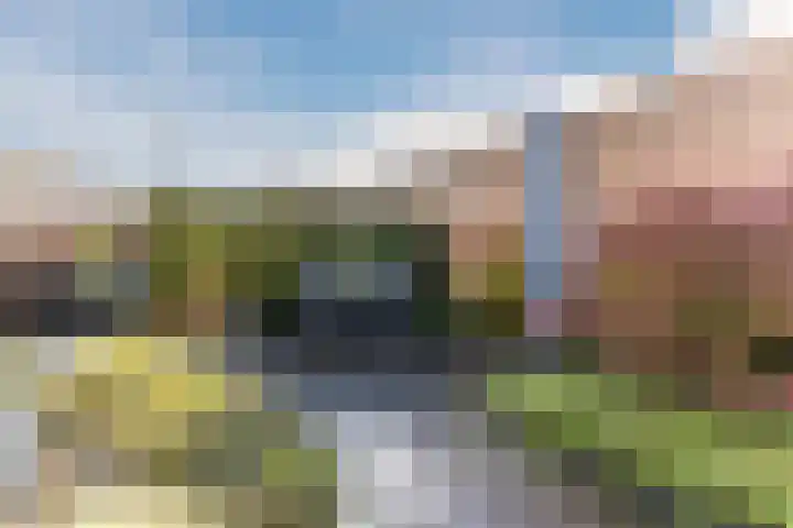 Lavendellaar 28 Veghel thumbnail 40