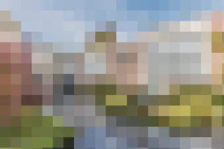 Lavendellaar 28 Veghel thumbnail 42