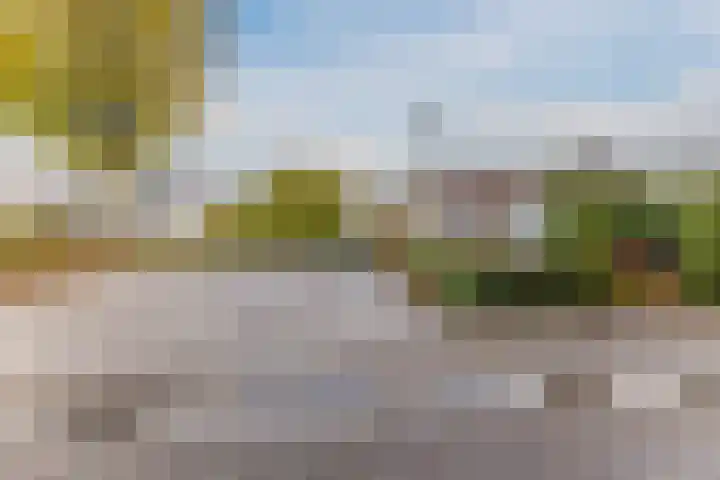 Lavendellaar 28 Veghel thumbnail 48