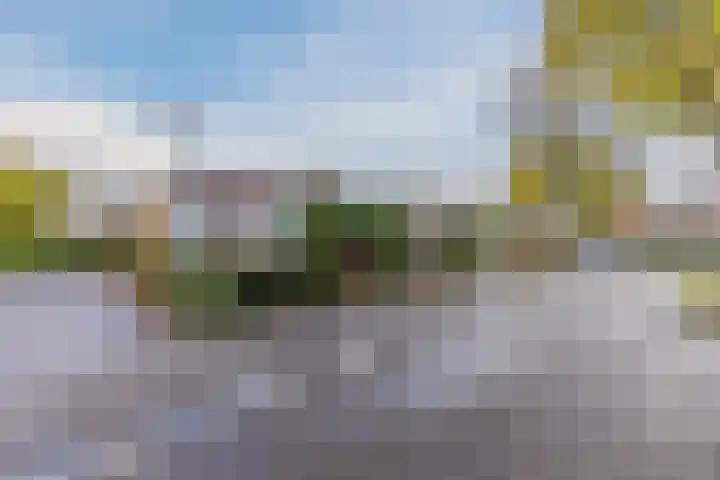Lavendellaar 28 Veghel thumbnail 49