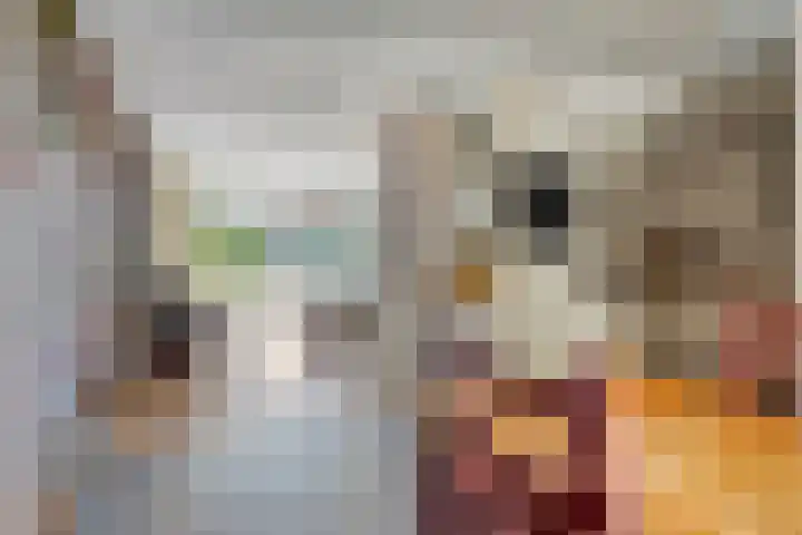 Lavendellaar 37 Veghel thumbnail 16