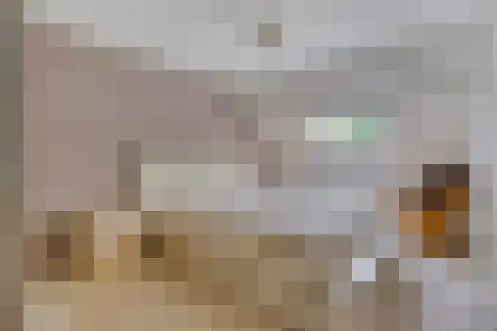 Lavendellaar 37 Veghel thumbnail 20