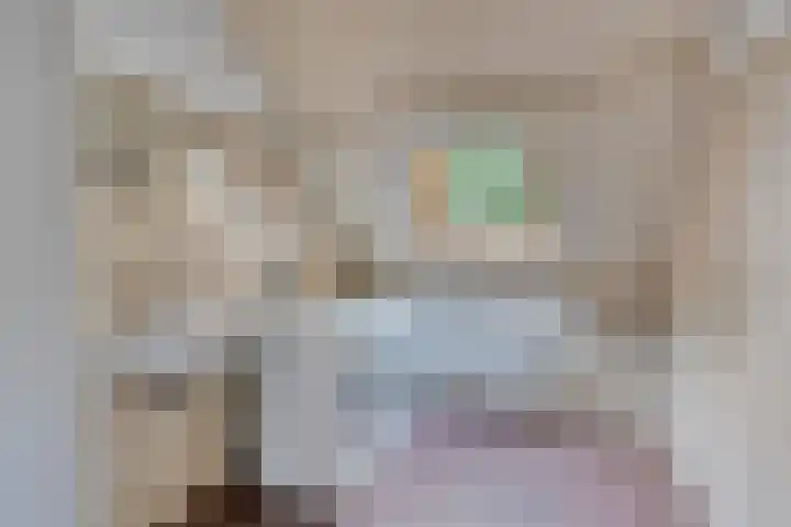 Lavendellaar 37 Veghel thumbnail 24