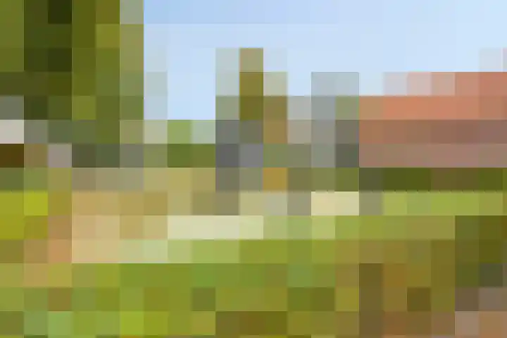 Lavendellaar 37 Veghel thumbnail 29