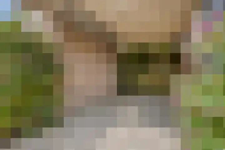 Lavendellaar 37 Veghel thumbnail 5