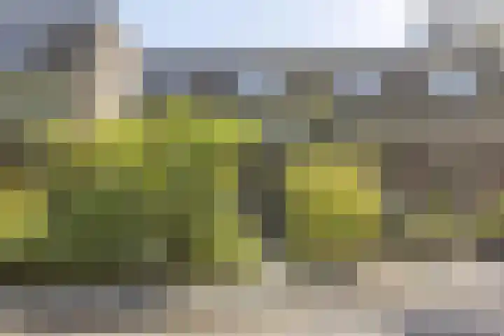 Lavendellaar 37 Veghel thumbnail 7