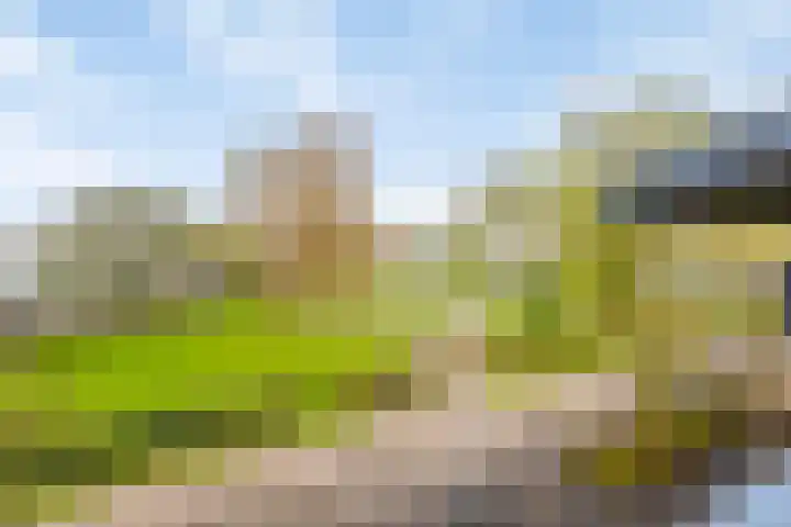 Lavendelplantsoen 10 Almere thumbnail 14