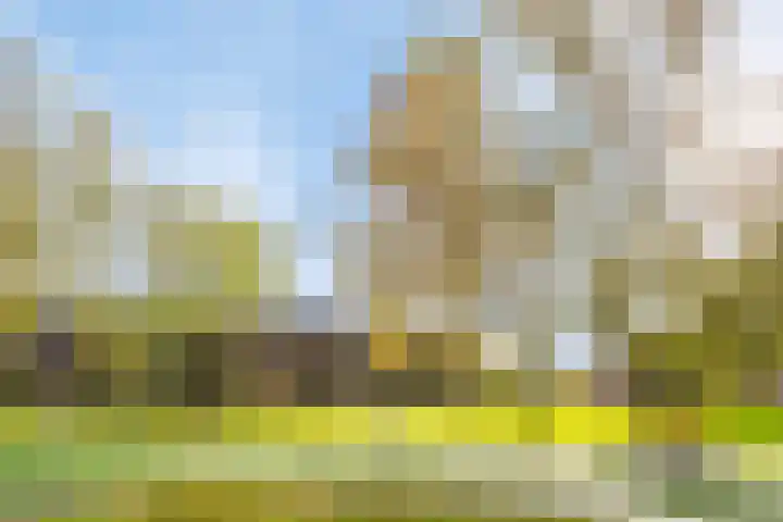 Lavendelplantsoen 10 Almere thumbnail 25