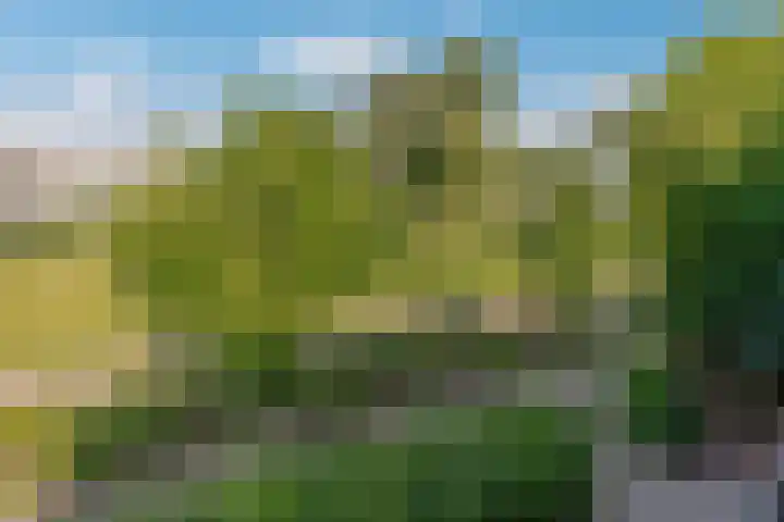 Lavendelplantsoen 2 Almere thumbnail 18