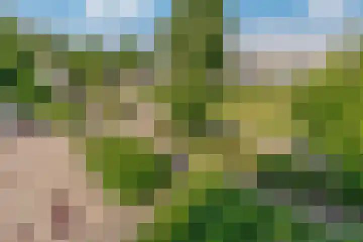 Lavendelplantsoen 2 Almere thumbnail 20