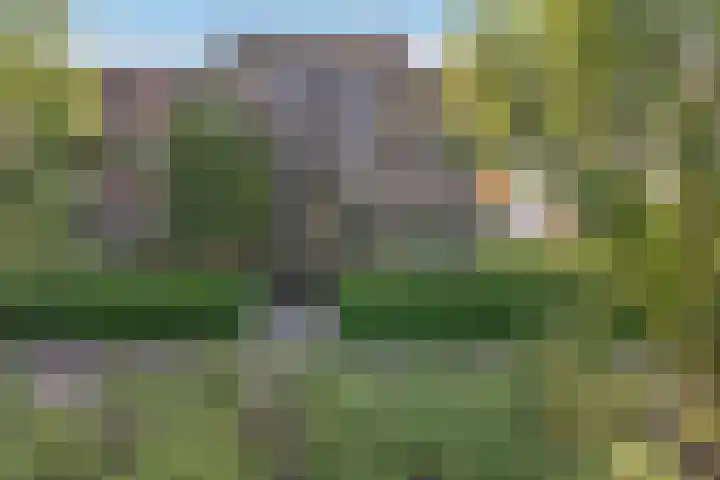 Lavendelplantsoen 2 Almere thumbnail 28