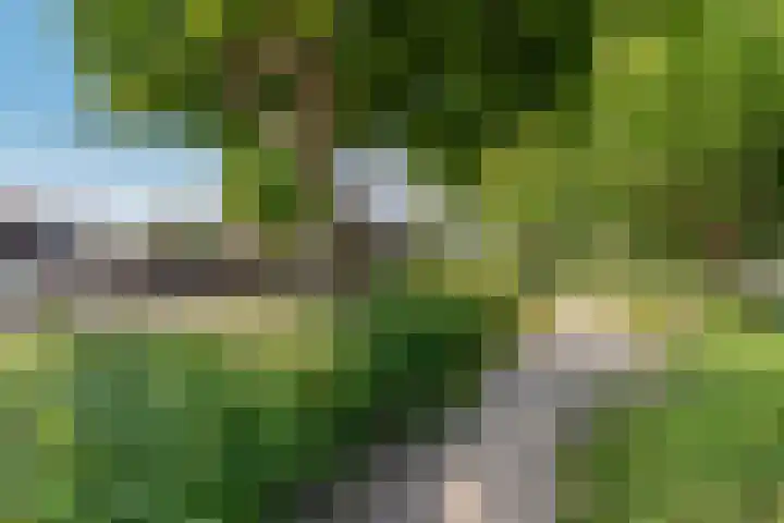 Lavendelplantsoen 2 Almere thumbnail 33