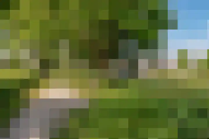 Lavendelplantsoen 2 Almere thumbnail 34