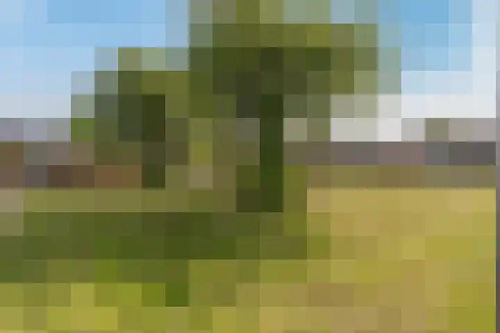 Lavendelplantsoen 2 Almere thumbnail 36