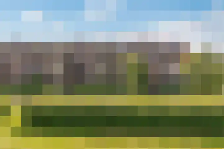 Lavendelplantsoen 2 Almere thumbnail 38