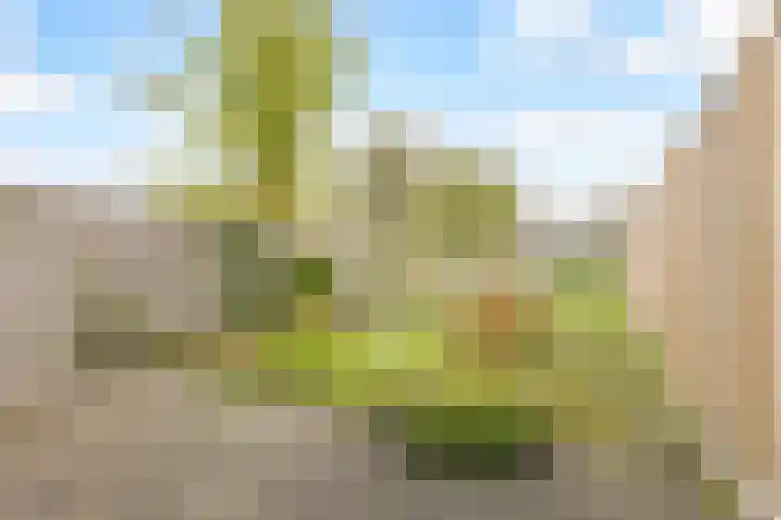 Lavendelplantsoen 32 Almere thumbnail 24