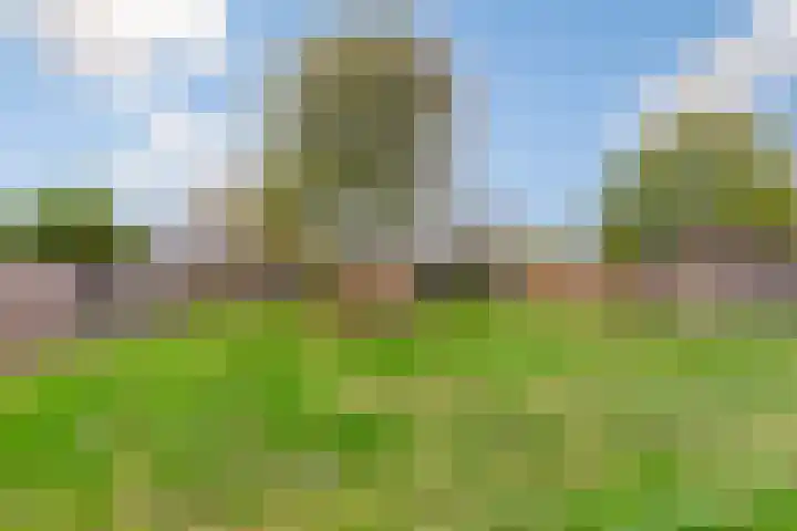 Lavendelplantsoen 33 Almere thumbnail 31