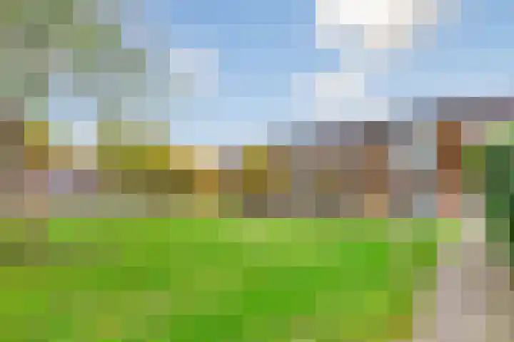 Lavendelplantsoen 33 Almere thumbnail 33