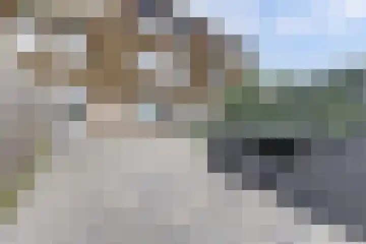 Lavendelplantsoen 44 Almere thumbnail 18