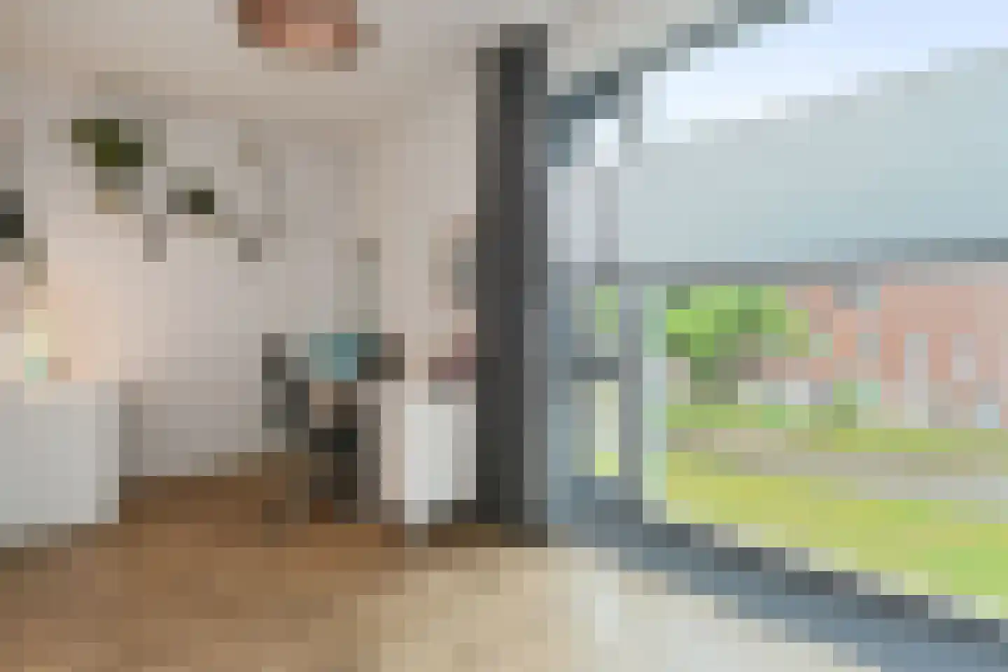 Lavendelplein 120 Eindhoven thumbnail 31