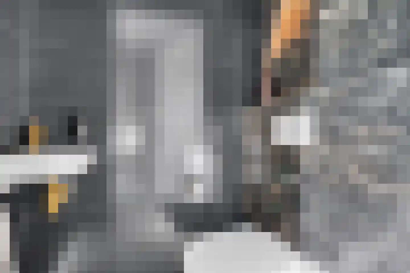Lavendelplein 133 Eindhoven thumbnail 24