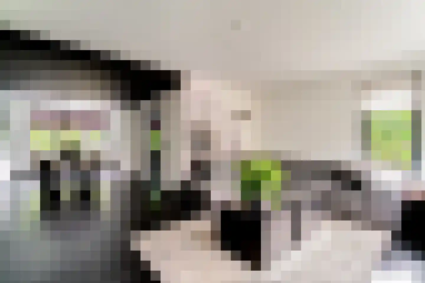 Lavendelstraat 11 Didam thumbnail 10