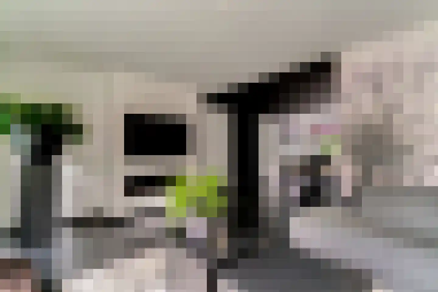 Lavendelstraat 11 Didam thumbnail 11